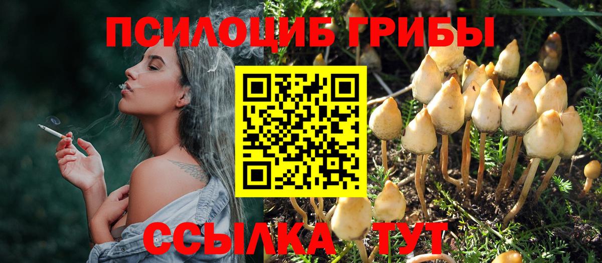 Галлюциногенные грибы Psilocybine cubensis  Вход с VPN  Псилоцибиновые грибы Cubensis  Калуга 